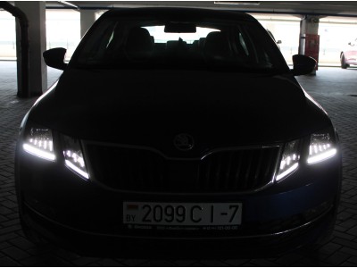 Які лампи стоять у ПТФ Шкода Октавія А7