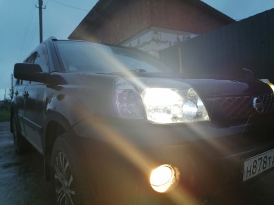 Які лампи стоять у протитуманках Ніссан Х Трейл Т30