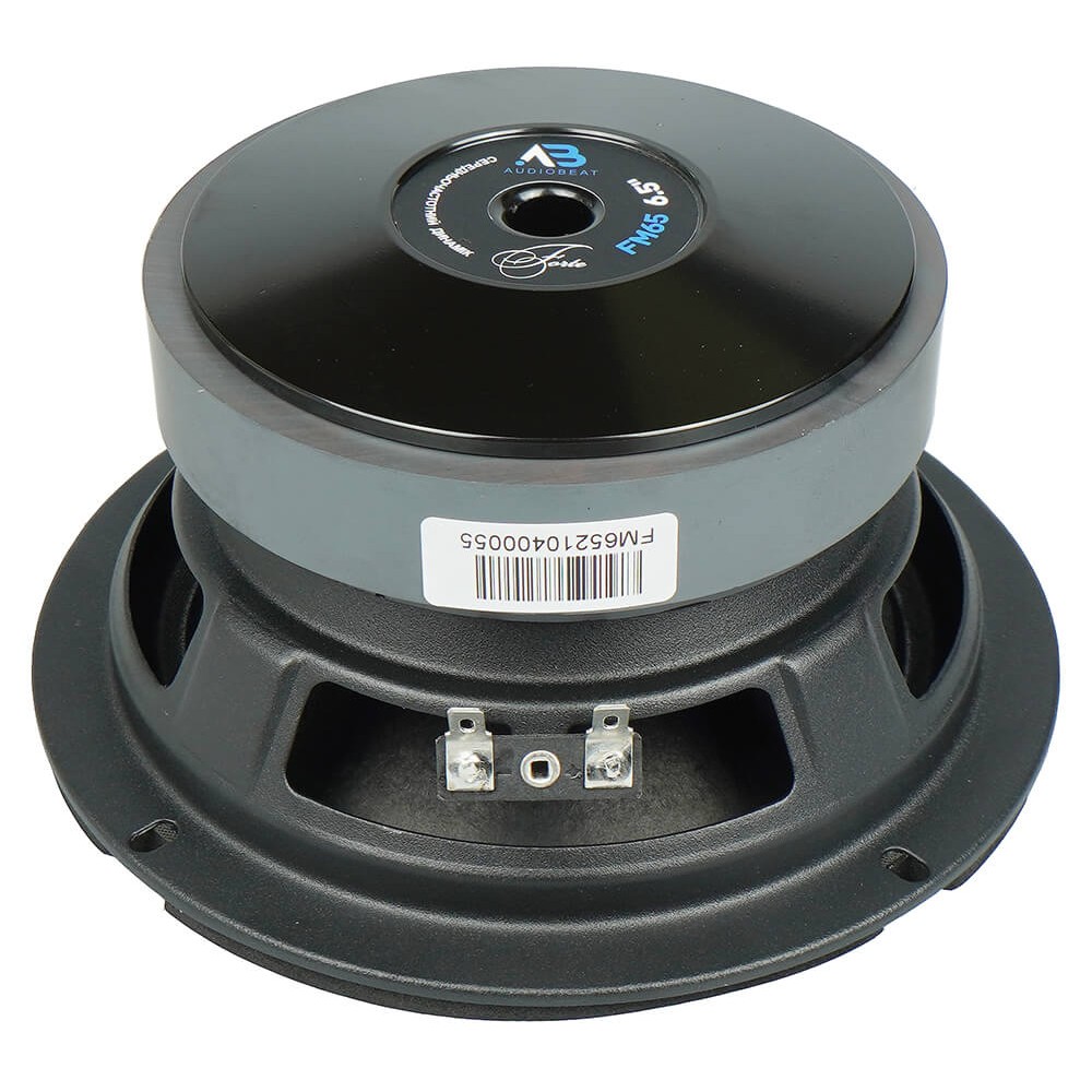 Середньочастотна акустика AudioBeat Forte FM65
