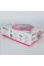 LED лампи автомобільні DriveX AL-11 H7/H18 5.5K 50W CAN к-т.