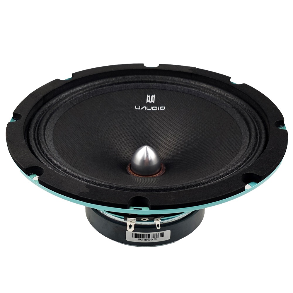 НЧ-СЧ динаміки UAudio Trembita TM8