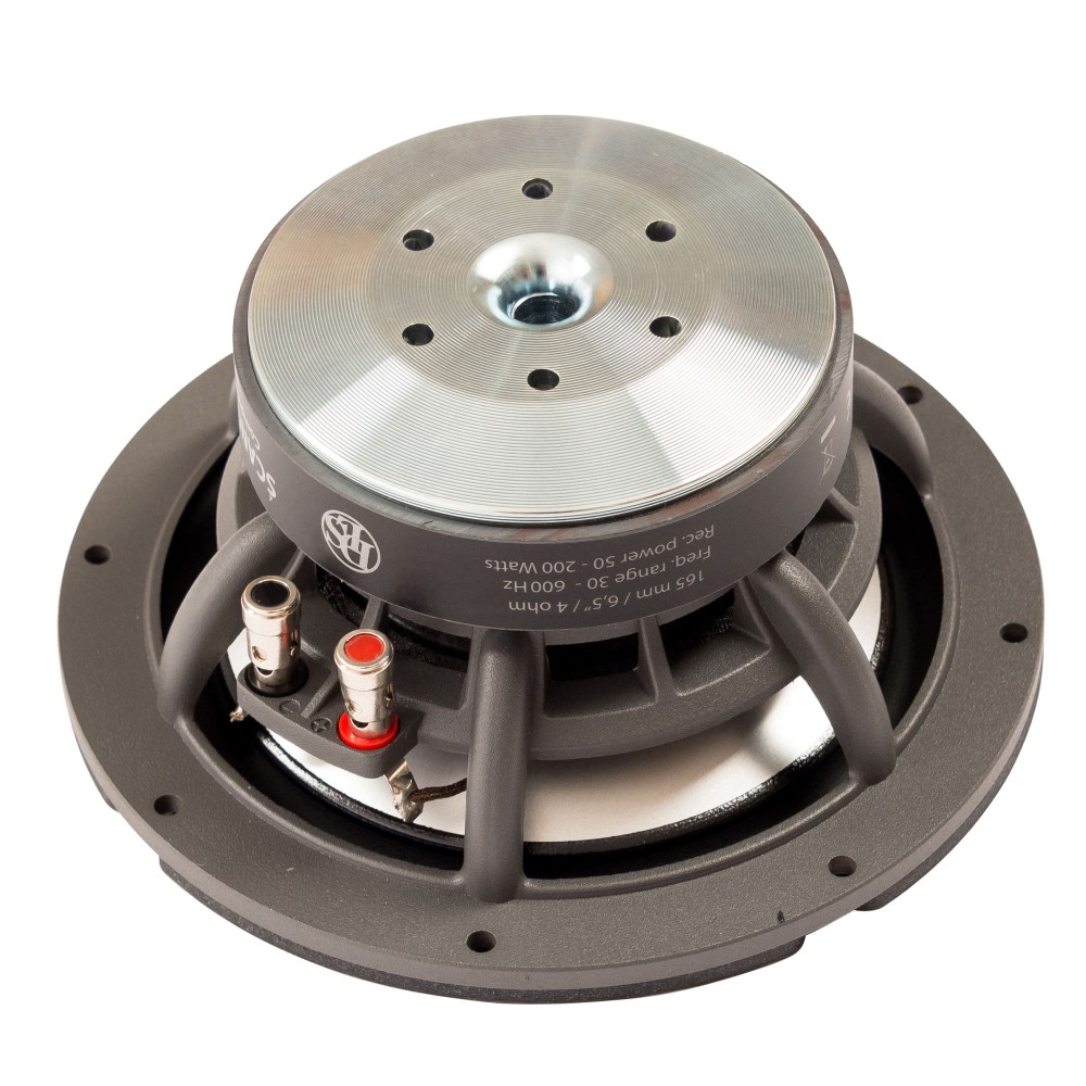 Низькочастотні динаміки DLS Scandinavia 165Wi