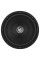 Сабвуферный динамик DLS Reference RCW12.D2 12”