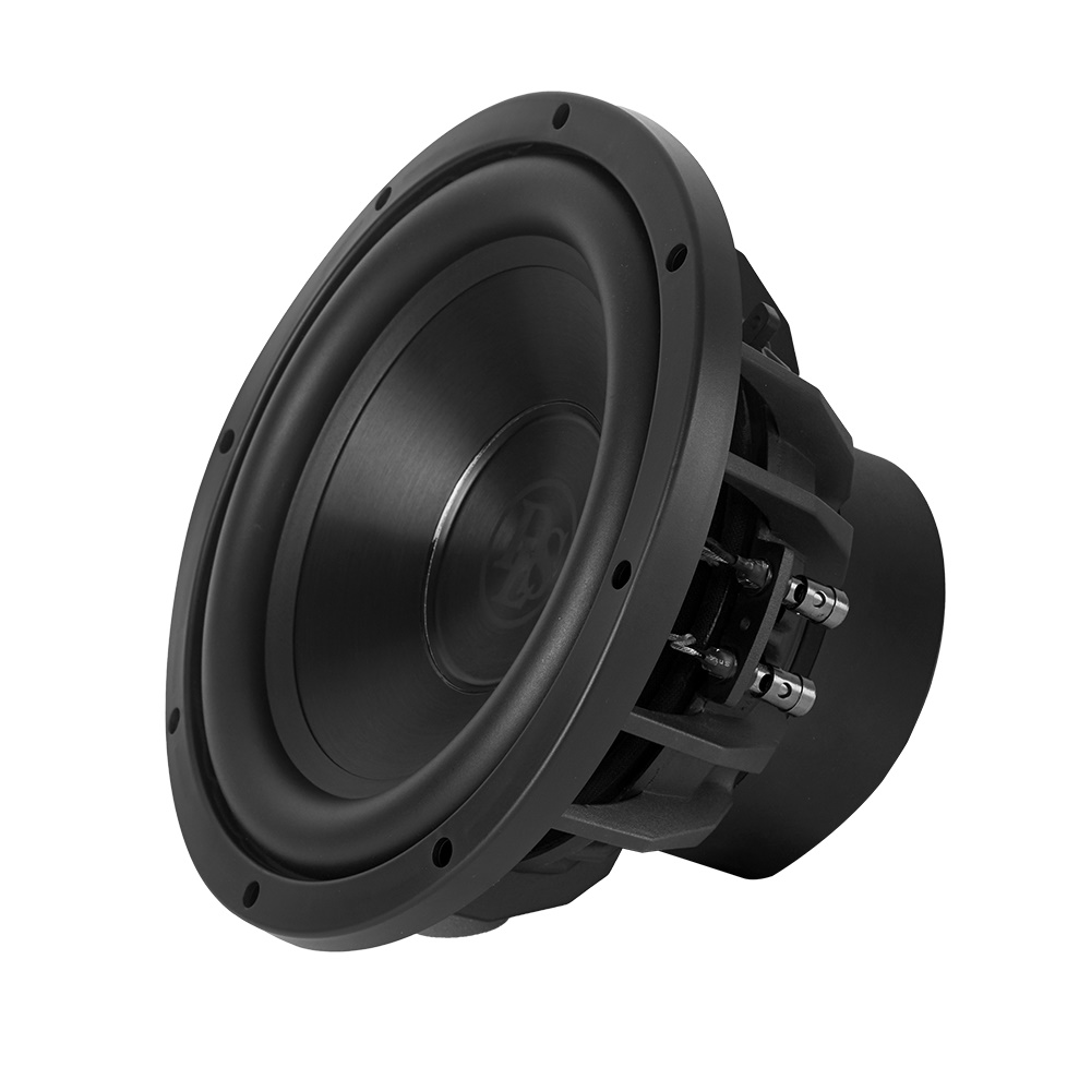 Сабвуферний динамік DLS Reference RSW10.D2 10″